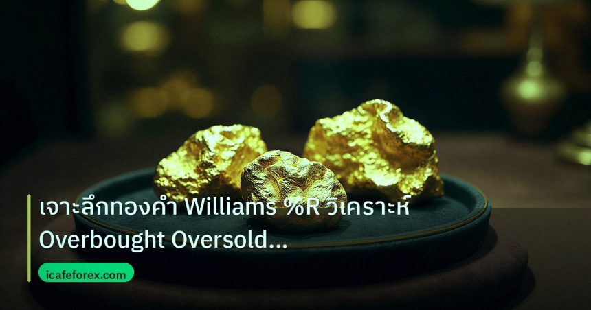 gold_daily | เจาะลึกทองคำ Williams %R วิเคราะห์ Overbought Oversold ทองยั