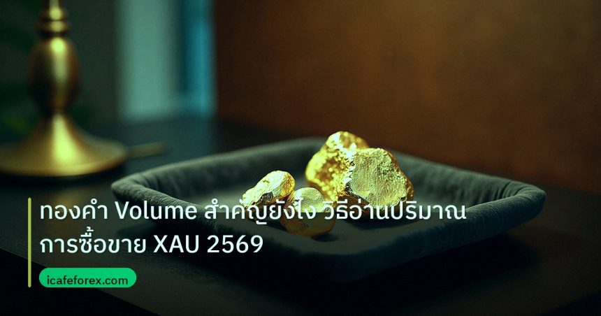 gold_daily | ทองคำ Volume สำคัญยังไง วิธีอ่านปริมาณการซื้อขาย XAU 2569