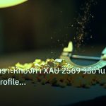 gold_analysis | เจาะลึกวิเคราะห์ทองคำ XAU 2569 วิธีอ่าน Volume Profile ปริมา