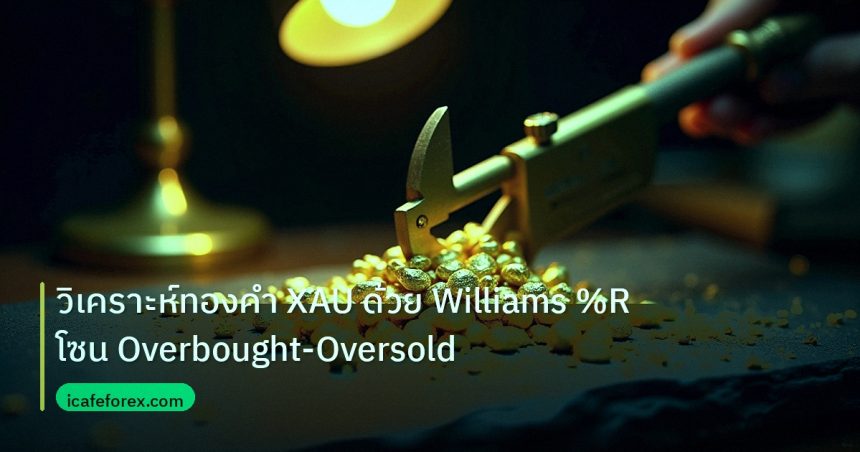 gold_analysis | วิเคราะห์ทองคำ XAU ด้วย Williams %R โซน Overbought-Oversold