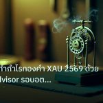ea_bot | เจาะลึกวิธีทำกำไรทองคำ XAU 2569 ด้วย Expert Advisor รอบอตเทร