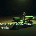 risk_mm | คู่มือวิธีตั้ง Stop Loss เทรดทองคำ XAU 2569 ฉบับเจาะลึก