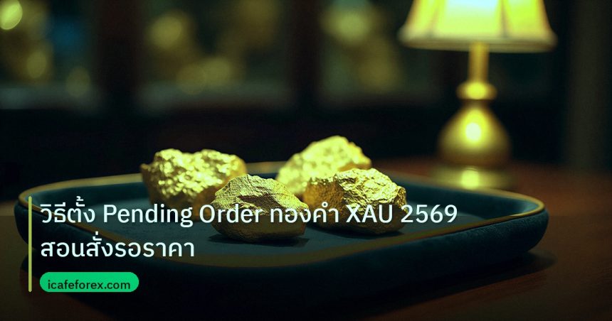 gold_daily | วิธีตั้ง Pending Order ทองคำ XAU 2569 สอนสั่งรอราคา
