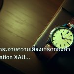 trading | เจาะลึกวิธีกระจายความเสี่ยงเทรดทองคำ Diversification XAU 256