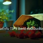 inflation | เจาะลึกทองคำกับ TIPS Bond ดัชนีเงินเฟ้อสหรัฐ