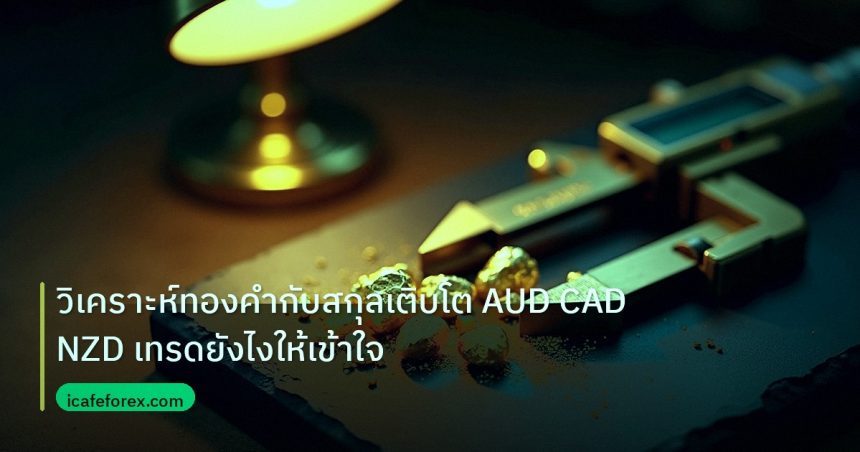 gold_analysis | วิเคราะห์ทองคำกับสกุลเติบโต AUD CAD NZD เทรดยังไงให้เข้าใจ