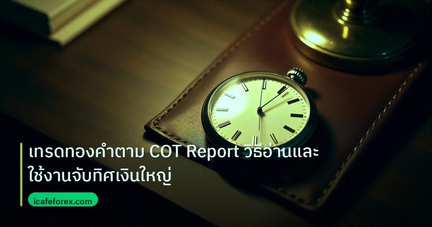 trading | เทรดทองคำตาม COT Report วิธีอ่านและใช้งานจับทิศเงินใหญ่