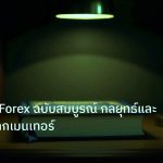 scb_manual | คู่มือเทรด Forex ฉบับสมบูรณ์ กลยุทธ์และเคล็ดลับจากเมนเทอร์