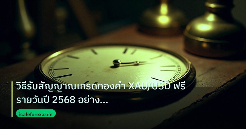 indicator | วิธีรับสัญญาณเทรดทองคำ XAU/USD ฟรีรายวันปี 2568 อย่างมืออาชี