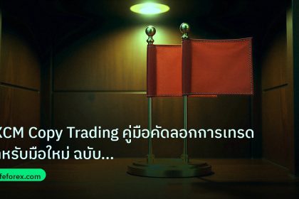 copy_signal | FXCM Copy Trading คู่มือคัดลอกการเทรดสำหรับมือใหม่ ฉบับสมบูร
