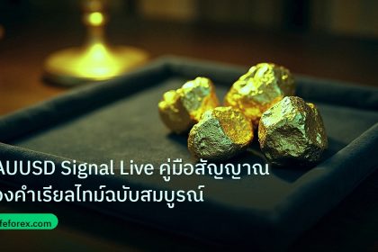 gold_daily | XAUUSD Signal Live คู่มือสัญญาณทองคำเรียลไทม์ฉบับสมบูรณ์