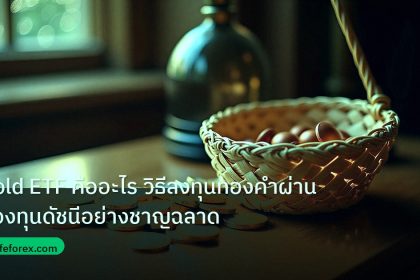 fund_etf | Gold ETF คืออะไร วิธีลงทุนทองคำผ่านกองทุนดัชนีอย่างชาญฉลาด