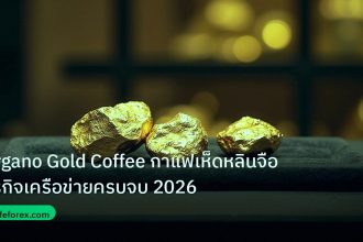 gold_daily | Organo Gold Coffee กาแฟเห็ดหลินจือธุรกิจเครือข่ายครบจบ 2026