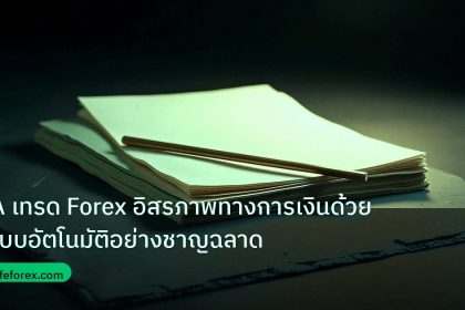 forex | EA เทรด Forex อิสรภาพทางการเงินด้วยระบบอัตโนมัติอย่างชาญฉลาด