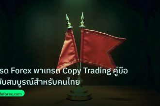 copy_signal | เทรด Forex พาเทรด Copy Trading คู่มือฉบับสมบูรณ์สำหรับคนไทย