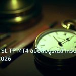 indicator | คู่มือ Auto SL TP MT4 ฉบับสมบูรณ์สำหรับมือใหม่ ปี 2026