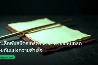 forex | เจาะลึกพันธมิตรเทรด Forex สายชอบเทรดด้วยกันแห่งความสำเร็จ