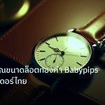 trading | คู่มือคำนวณขนาดล็อตทองคำ Babypips ฉบับเทรดเดอร์ไทย