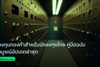 gold_etf | กองทุนทองคำสำหรับนักลงทุนไทย คู่มือฉบับสมบูรณ์อัปเดตล่าสุด