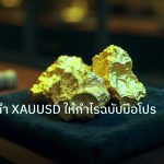 gold_daily | เทรดทองคำ XAUUSD ให้กำไรฉบับมือโปร 2026