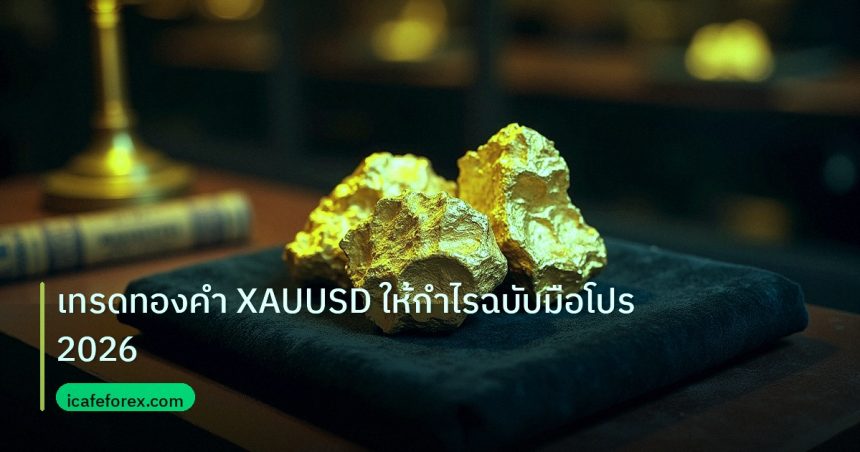 gold_daily | เทรดทองคำ XAUUSD ให้กำไรฉบับมือโปร 2026