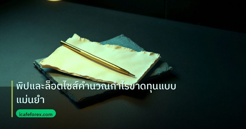 forex | พิปและล็อตไซส์คำนวณกำไรขาดทุนแบบแม่นยำ