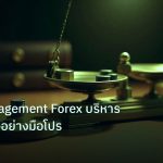 risk_mm | Risk Management Forex บริหารความเสี่ยงอย่างมือโปร