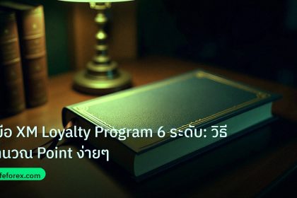 scb_manual | คู่มือ XM Loyalty Program 6 ระดับ: วิธีคำนวณ Point ง่ายๆ