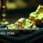 gold_daily | วิธีอ่าน Volume Profile เทรด XAUUSD ฉบับปฏิบัติจริง 2026