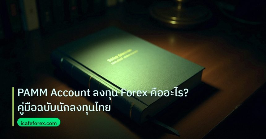 scb_manual | PAMM Account ลงทุน Forex คืออะไร? คู่มือฉบับนักลงทุนไทย