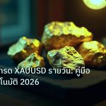 gold_daily | สร้าง AI เทรด XAUUSD รายวัน: คู่มือทำกำไรอัตโนมัติ 2026