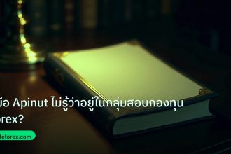 scb_manual | คู่มือ Apinut ไม่รู้ว่าอยู่ในกลุ่มสอบกองทุน Forex?