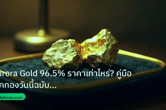 gold_daily | Aurora Gold 96.5% ราคาเท่าไหร่? คู่มือเช็คทองวันนี้ฉบับสมบูร