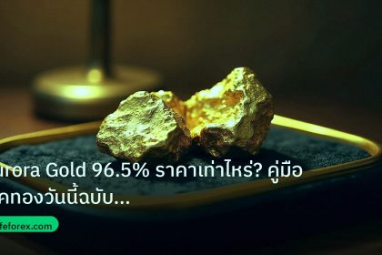 gold_daily | Aurora Gold 96.5% ราคาเท่าไหร่? คู่มือเช็คทองวันนี้ฉบับสมบูร