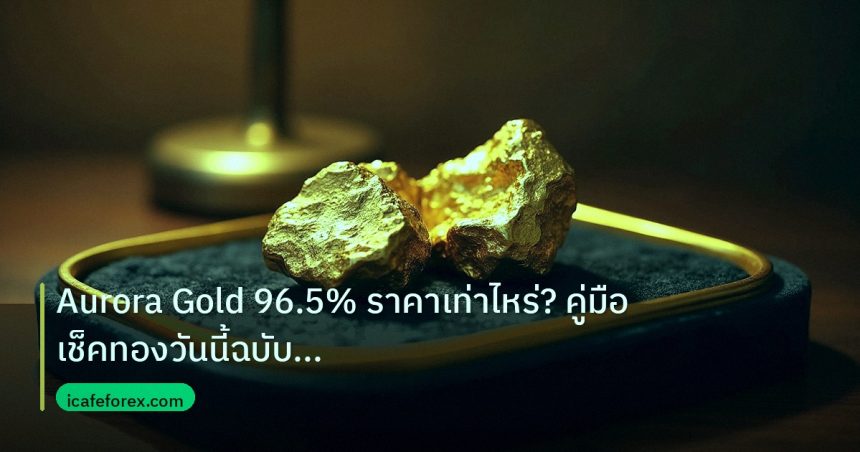 gold_daily | Aurora Gold 96.5% ราคาเท่าไหร่? คู่มือเช็คทองวันนี้ฉบับสมบูร