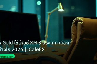 broker | EA Gold ใช้บัญชี XM 3 ประเภท เลือกอย่างไร 2026 | iCafeFX