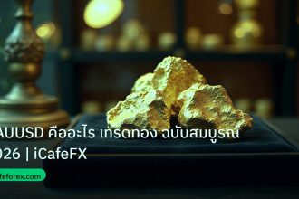 gold_daily | XAUUSD คืออะไร เทรดทอง ฉบับสมบูรณ์ 2026 | iCafeFX