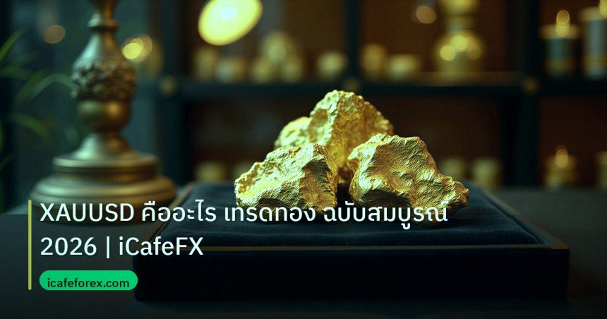 gold_daily | XAUUSD คืออะไร เทรดทอง ฉบับสมบูรณ์ 2026 | iCafeFX
