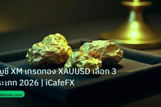 gold_daily | บัญชี XM เทรดทอง XAUUSD เลือก 3 ประเภท 2026 | iCafeFX