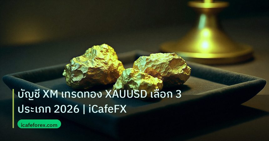 gold_daily | บัญชี XM เทรดทอง XAUUSD เลือก 3 ประเภท 2026 | iCafeFX