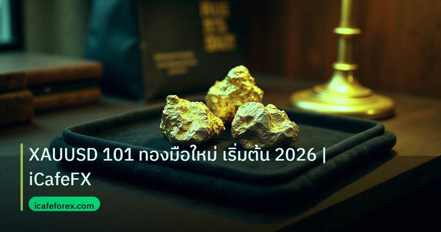 gold_daily | XAUUSD 101 ทองมือใหม่ เริ่มต้น 2026 | iCafeFX