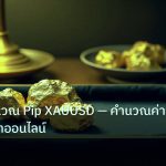 gold_daily | เครื่องคำนวณ Pip XAUUSD — คำนวณค่า Pip ทองคำออนไลน์