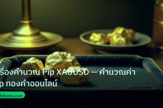 gold_daily | เครื่องคำนวณ Pip XAUUSD — คำนวณค่า Pip ทองคำออนไลน์