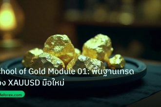 gold_daily | School of Gold Module 01: พื้นฐานเทรดทอง XAUUSD มือใหม่