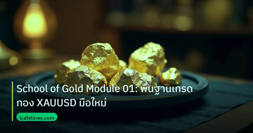 gold_daily | School of Gold Module 01: พื้นฐานเทรดทอง XAUUSD มือใหม่