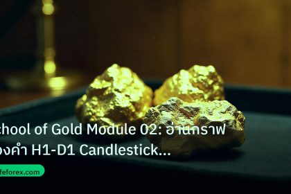 gold_daily | School of Gold Module 02: อ่านกราฟทองคำ H1-D1 Candlestick EM