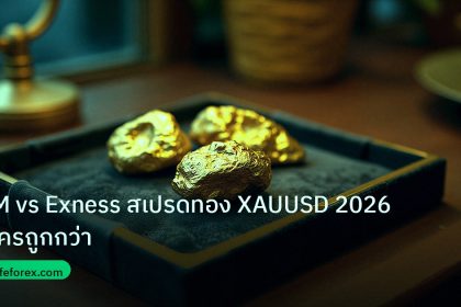 gold_daily | XM vs Exness สเปรดทอง XAUUSD 2026: ใครถูกกว่า