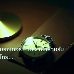 trading | คู่มือเลือกโบรกเกอร์ Forex ที่ใช่สำหรับเทรดเดอร์ไทยมือใหม่ฉบ