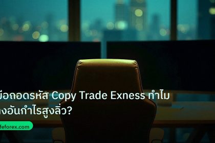broker | คู่มือถอดรหัส Copy Trade Exness ทำไมบางอันกำไรสูงลิ่ว?