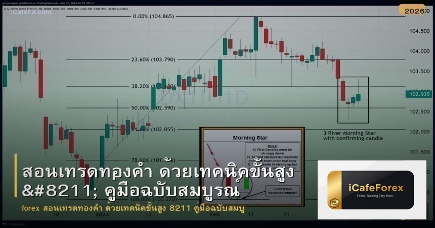 สอนเทรดทองคำ ด้วยเทคนิคขั้นสูง 8211 คู่มือฉบับสมบู